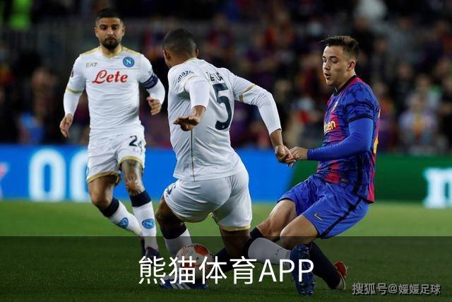 熊猫体育APP公司介绍